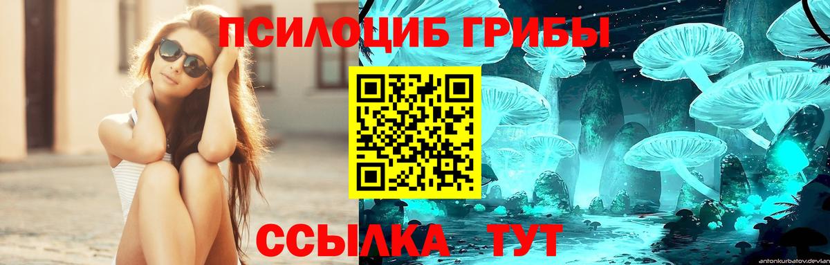 Москва  Псилоцибиновые грибы Magic Shrooms  Вход с VPN  Галлюциногенные грибы Psilocybine cubensis 
