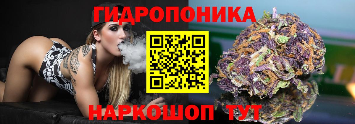 Канабис марихуана  Бошки Шишки AK-47  Москва  Вход с VPN  Каннабис Ganja 